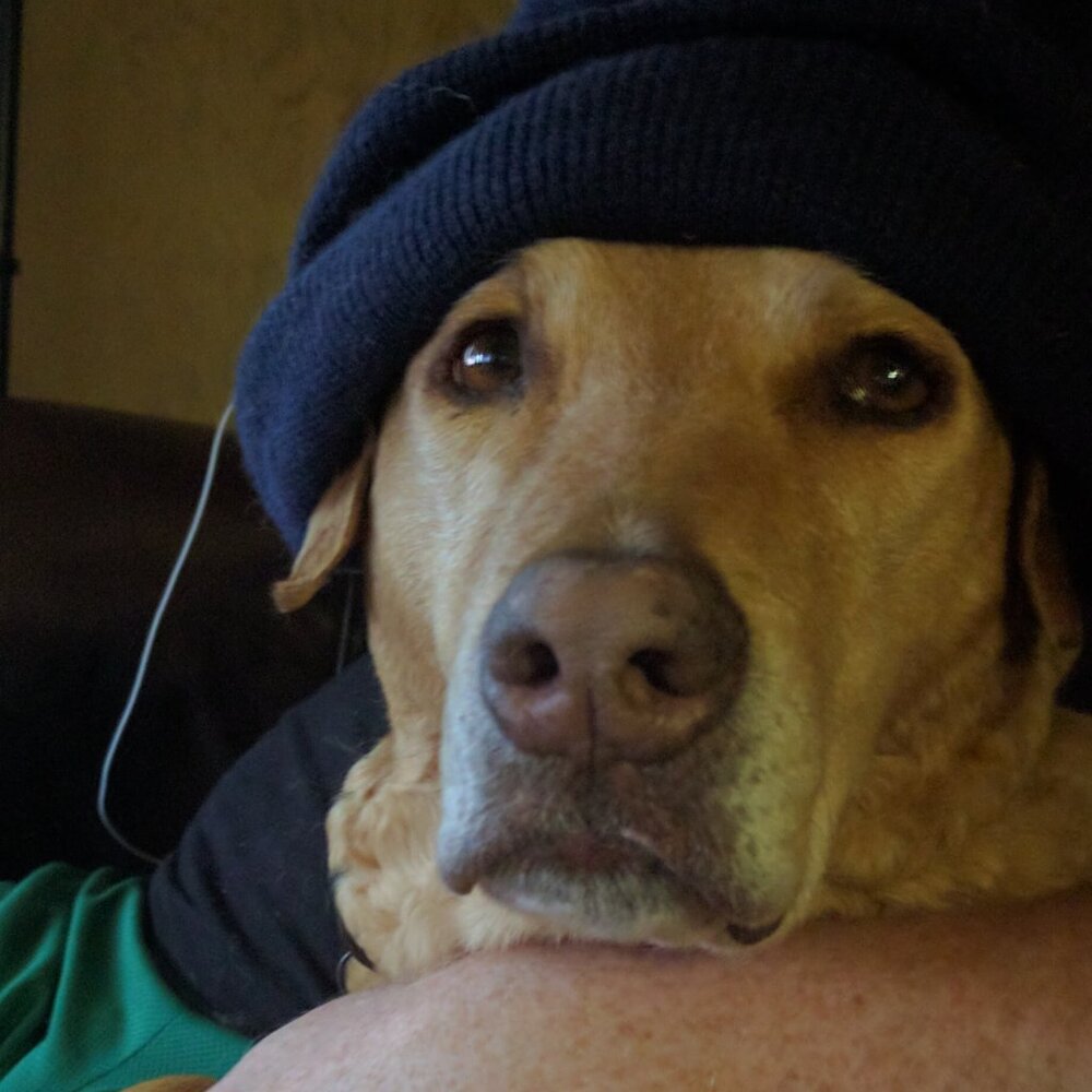 Meet your Posher, Erin